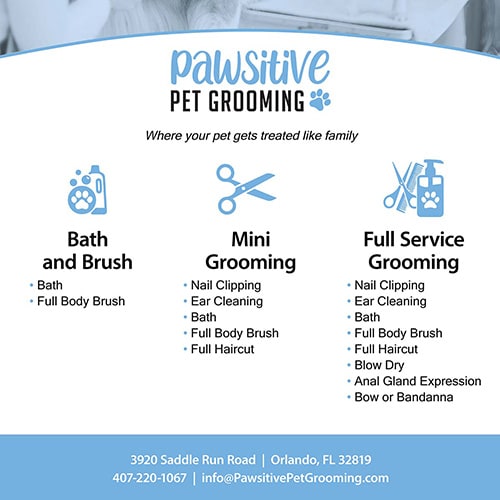 Pet Grooming Poster